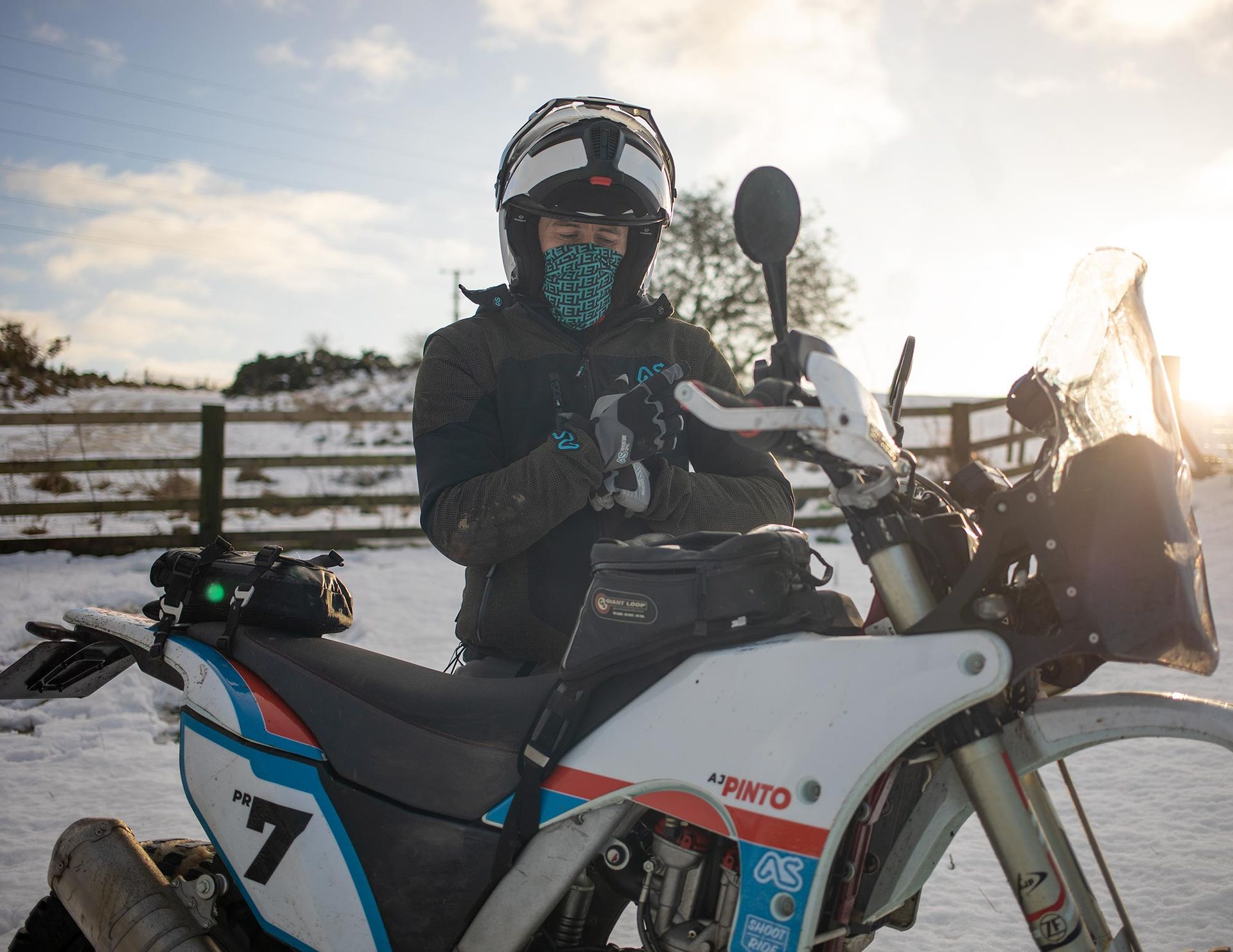 Alpine gloves deals motorcycle